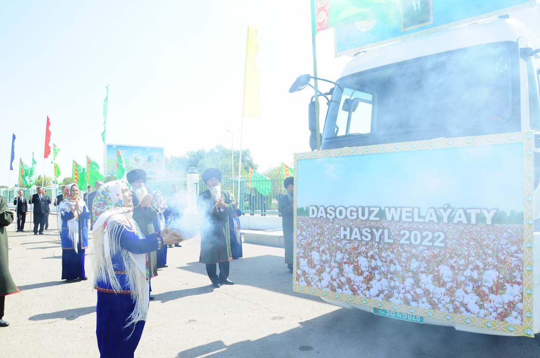 Cotton harvesting campaign starts in Dashoguz velayat